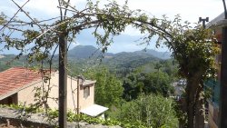 P1200164.JPG P1200164.JPG