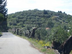 P1200300.JPG P1200300.JPG