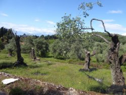 P1200302.JPG P1200302.JPG