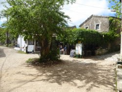 P1200275.JPG P1200275.JPG