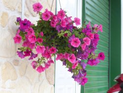 P1200141.JPG P1200141.JPG