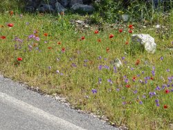 P1200299.JPG P1200299.JPG