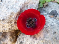 P1200711.JPG P1200711.JPG