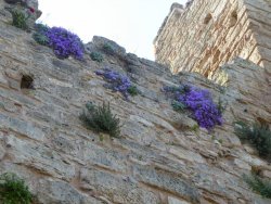 P1200715.JPG P1200715.JPG