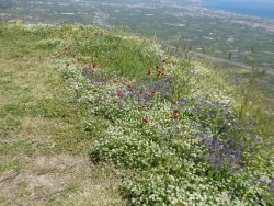 P1200735.JPG P1200735.JPG