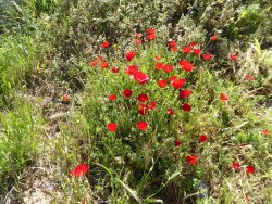 P1200743.JPG P1200743.JPG