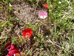 P1200748.JPG P1200748.JPG