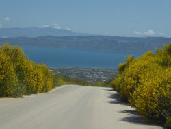 P1200756.JPG P1200756.JPG