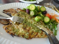 P1200426.JPG P1200426.JPG