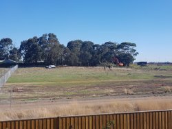 20190507_110537.jpg 20190507_110537.jpg