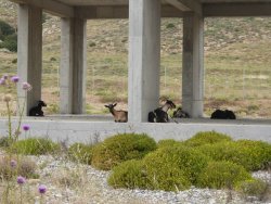 P1220141.JPG P1220141.JPG