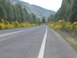 P1220349.JPG P1220349.JPG