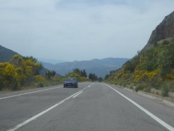 P1220364.JPG P1220364.JPG