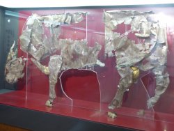 P1220399.JPG P1220399.JPG