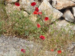 P1220439.JPG P1220439.JPG