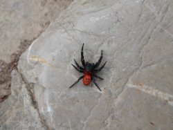 P1220529.JPG P1220529.JPG