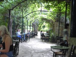 P1220554.JPG P1220554.JPG