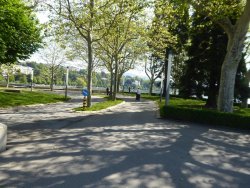 P1220683.JPG P1220683.JPG