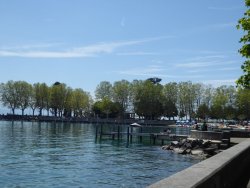 P1220758.JPG P1220758.JPG