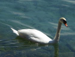 P1220771.JPG P1220771.JPG