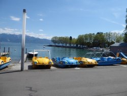 P1220819.JPG P1220819.JPG