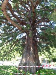 P1220813.JPG P1220813.JPG