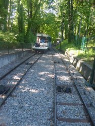 P1220883.JPG P1220883.JPG