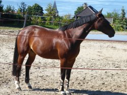 P1220871.JPG P1220871.JPG