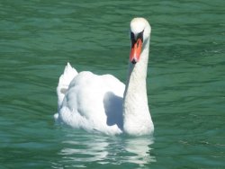 P1220954.JPG P1220954.JPG