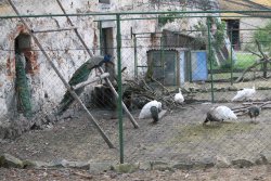 5CD40678-EE42-47BA-891B-D1B9FD61B413.jpeg 5CD40678-EE42-47BA-891B-D1B9FD61B413.jpeg