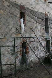 3A008927-D566-429A-8986-A7D51CBC0712.jpeg 3A008927-D566-429A-8986-A7D51CBC0712.jpeg