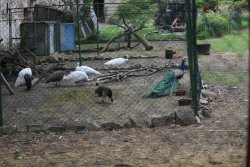 F3A1CC08-59D4-4FB2-BB41-79FE9F0EE060.jpeg F3A1CC08-59D4-4FB2-BB41-79FE9F0EE060.jpeg