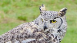 897C32AB-D143-4BC7-86E0-961E7E19BEE7.jpeg 897C32AB-D143-4BC7-86E0-961E7E19BEE7.jpeg