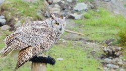 A4DBFF65-7FA8-46C0-9504-F6562663F1FB.jpeg A4DBFF65-7FA8-46C0-9504-F6562663F1FB.jpeg