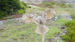 702AD932-794B-42A0-A14A-74A711A13975.jpeg 702AD932-794B-42A0-A14A-74A711A13975.jpeg