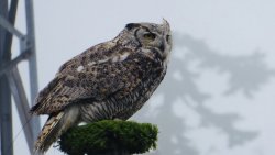 7CCF0D07-222B-44CB-BF31-BC63BDFFAD25.jpeg 7CCF0D07-222B-44CB-BF31-BC63BDFFAD25.jpeg