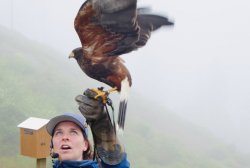 A614E304-8AF4-49B5-BB11-68036FED7624.jpeg A614E304-8AF4-49B5-BB11-68036FED7624.jpeg