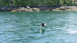 535B5662-49D2-4E4C-9F7A-77D6957986C1.jpeg 535B5662-49D2-4E4C-9F7A-77D6957986C1.jpeg