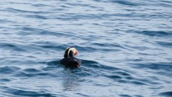 D958453B-0D36-42C1-A300-559BD69FA033.jpeg D958453B-0D36-42C1-A300-559BD69FA033.jpeg