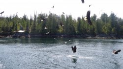 73DA564B-6E8C-4623-8961-7B1D8C21433E.jpeg 73DA564B-6E8C-4623-8961-7B1D8C21433E.jpeg