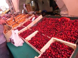 P1240158.JPG P1240158.JPG