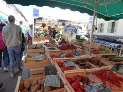 P1240165.JPG P1240165.JPG