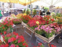 P1240166.JPG P1240166.JPG