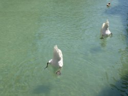 P1240178.JPG P1240178.JPG