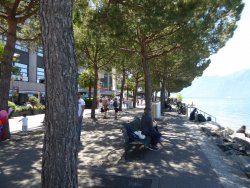 P1230124.JPG P1230124.JPG