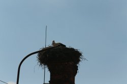 3828D225-DBE9-4E19-8057-3A4C973FD746.jpeg 3828D225-DBE9-4E19-8057-3A4C973FD746.jpeg