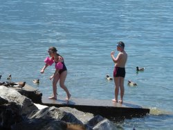 P1230133.JPG P1230133.JPG