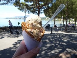 P1230137.JPG P1230137.JPG