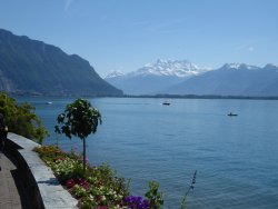 P1230139.JPG P1230139.JPG