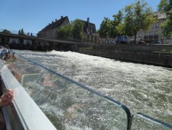 P1230302.JPG P1230302.JPG